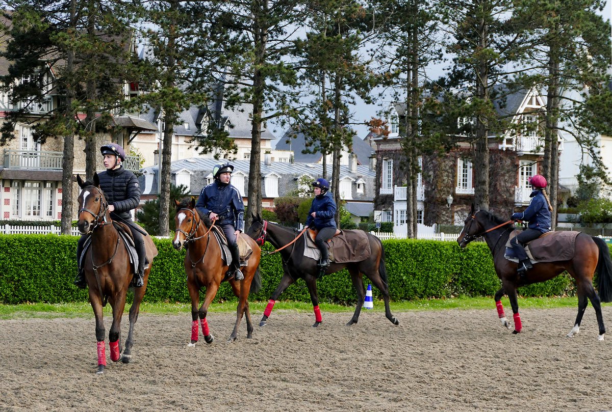 Could only be Deauville.