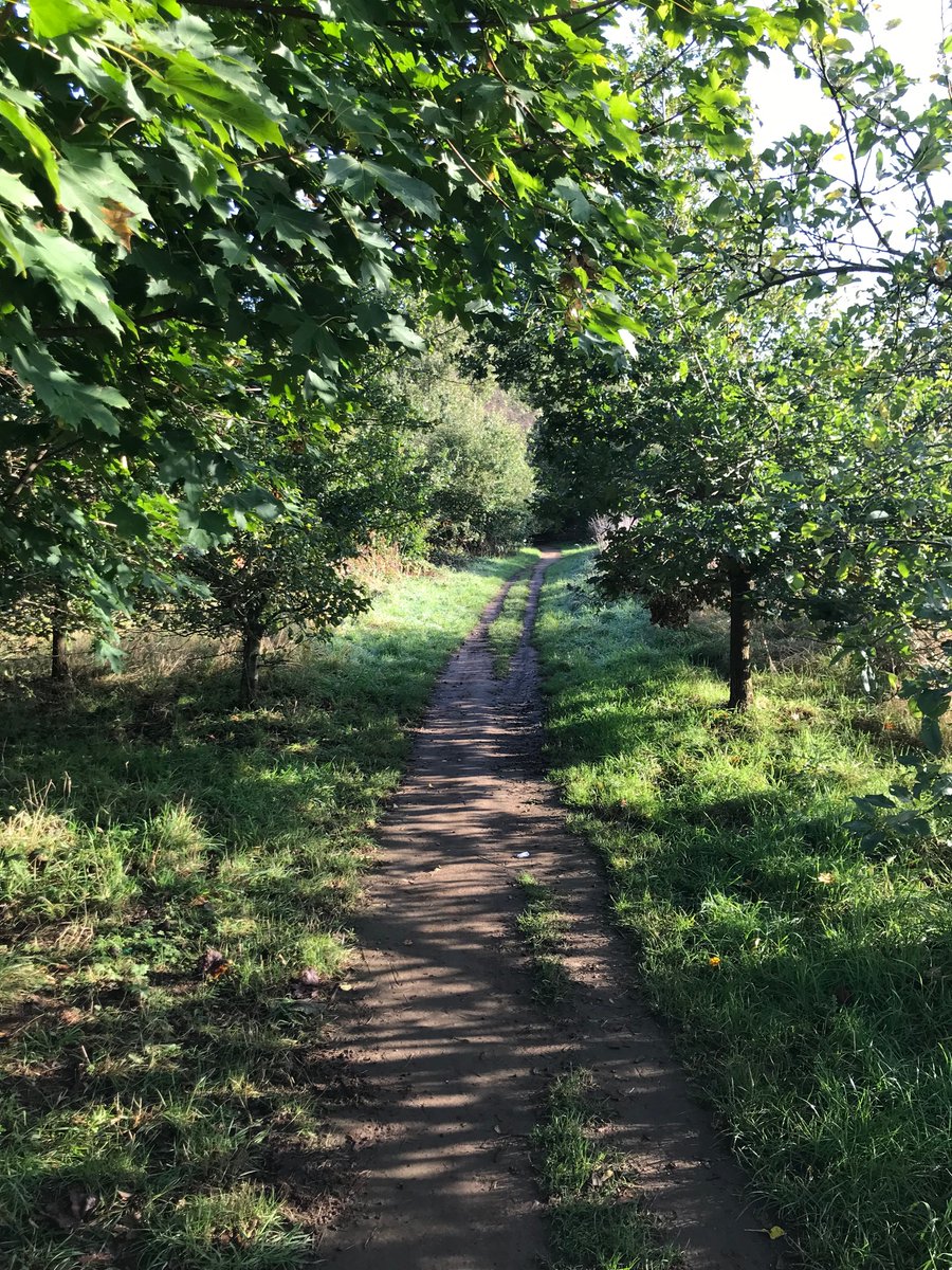 The reality of BiodiversityNetGain: on left, <a href="/MyDoncaster/">City of Doncaster Council</a> “habitat bank” (empty field) which will supposedly deliver 10% BNG to replace (on right) RoseHill wildlife habitat being destroyed for development. This apparently will make Doncaster “greener”. Shocking! <a href="/CommunityPlann1/">CommunityPlanningAlliance 🦇🦎</a>
