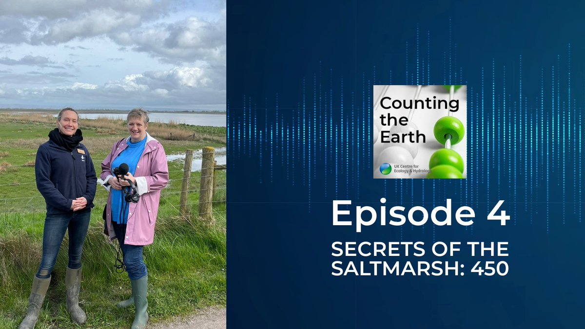 Have a listen to the @UK_CEH #CountingTheEarth podcast – an entertaining way to explore environmental science topics 🎧 The latest episode on the Secrets of the Saltmarsh: 450 is out now! Find all episodes here: audioboom.com/channels/51223…