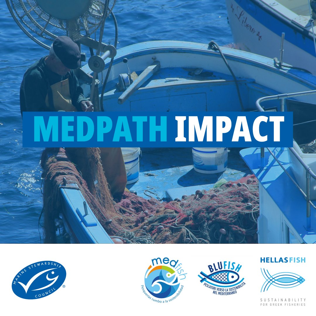 MSCenEspana's tweet image. 🐟🌊 ¿Conoces los logros alcanzados por #MedPath en la mejora de la #Sostenibilidad de las pesquerías del Mediterráneo? Descubre todos los detalles en el "Informe de Impactos de MedPath".
📰 🔗 bit.ly/49qwEl7
#MedFish #BluFish #HellasFish #SelloAzul #PescaSostenible