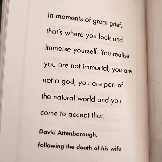 'In moments of great grief, that's where you look and immerse yourself. You realise you are not immortal, you are not a god, you are part of the natural world and you come to accept that.' A quote from Sir David Attenborough in The Little Book of Humanist Funerals. #Funeral