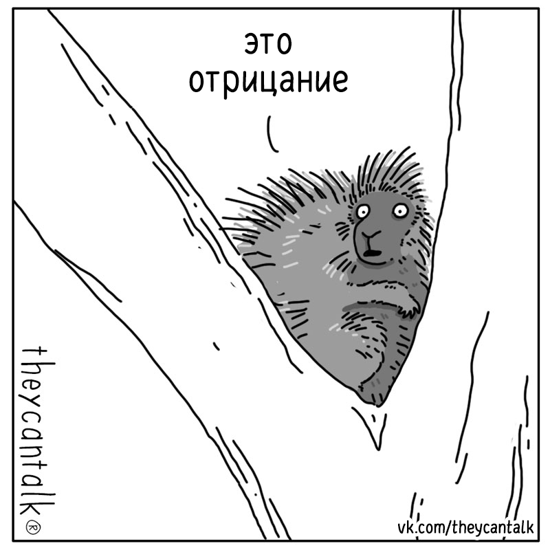 logoslair's tweet photo. @fearkillstheme Дикобразы плакали, кололись, но продолжали жаться друг к другу%) https://t.co/C6NaOo2mlC