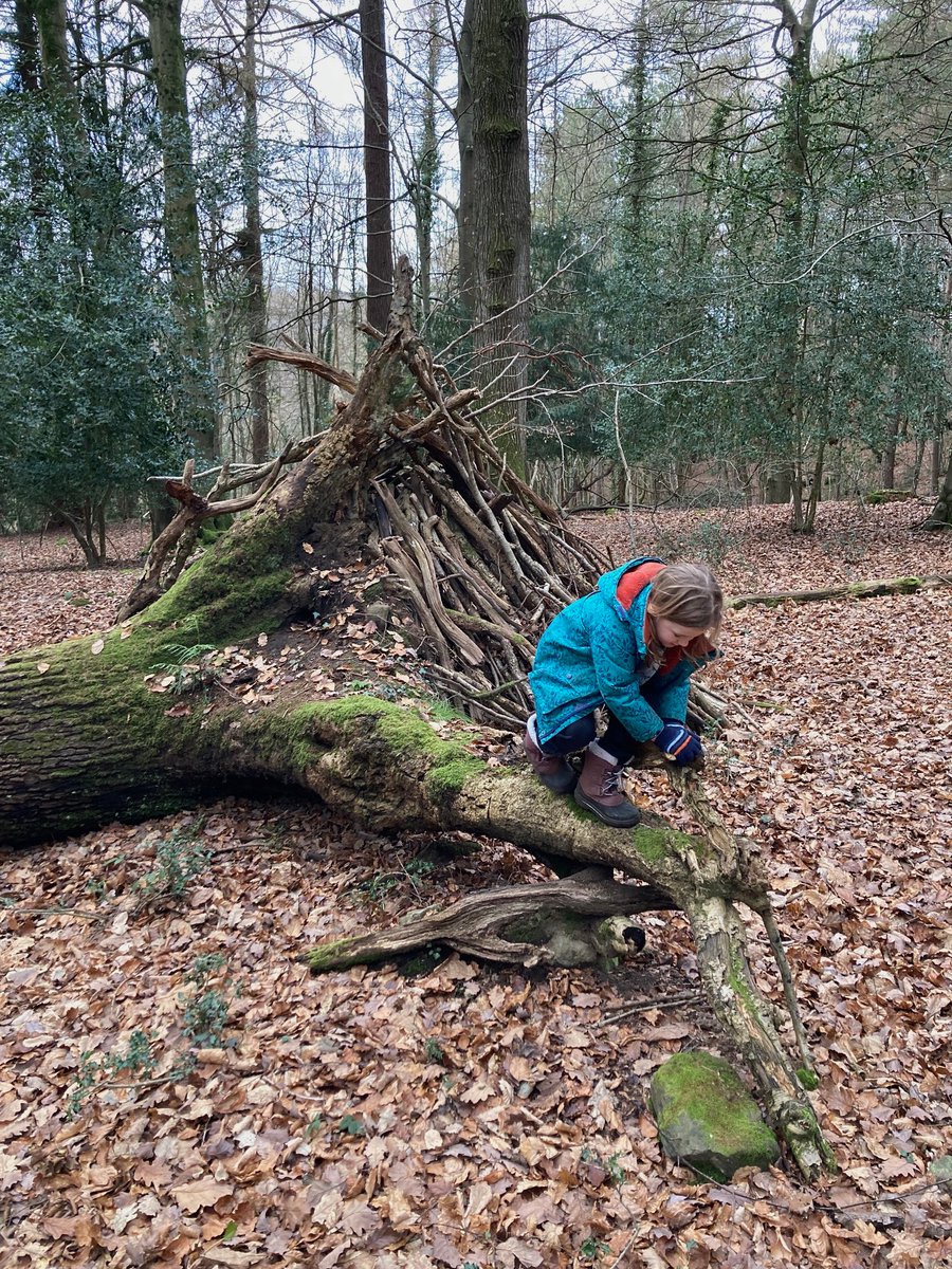 🌳Er mwyn dathlu #WythnosDysguYnYrAwyrAgoredCymru (22-28 Ebrill 2024), rydyn ni wedi lansio pecyn adnodd dysgu am ddim i ysgolion, yn seiliedig ar Tidy – y llyfr darluniedig i blant gan Emily Gravett. 🦡 Lawrlwythwch y pecyn o’n gwefan am ddim... theatriolo.com/tidy-3