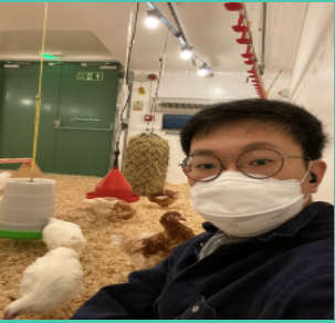 SRUCResearch's tweet photo. Hyungwook Kang has been using sensor technology to study hen behaviour! #SRUCPGR24 https://t.co/sFzoiHQI6i