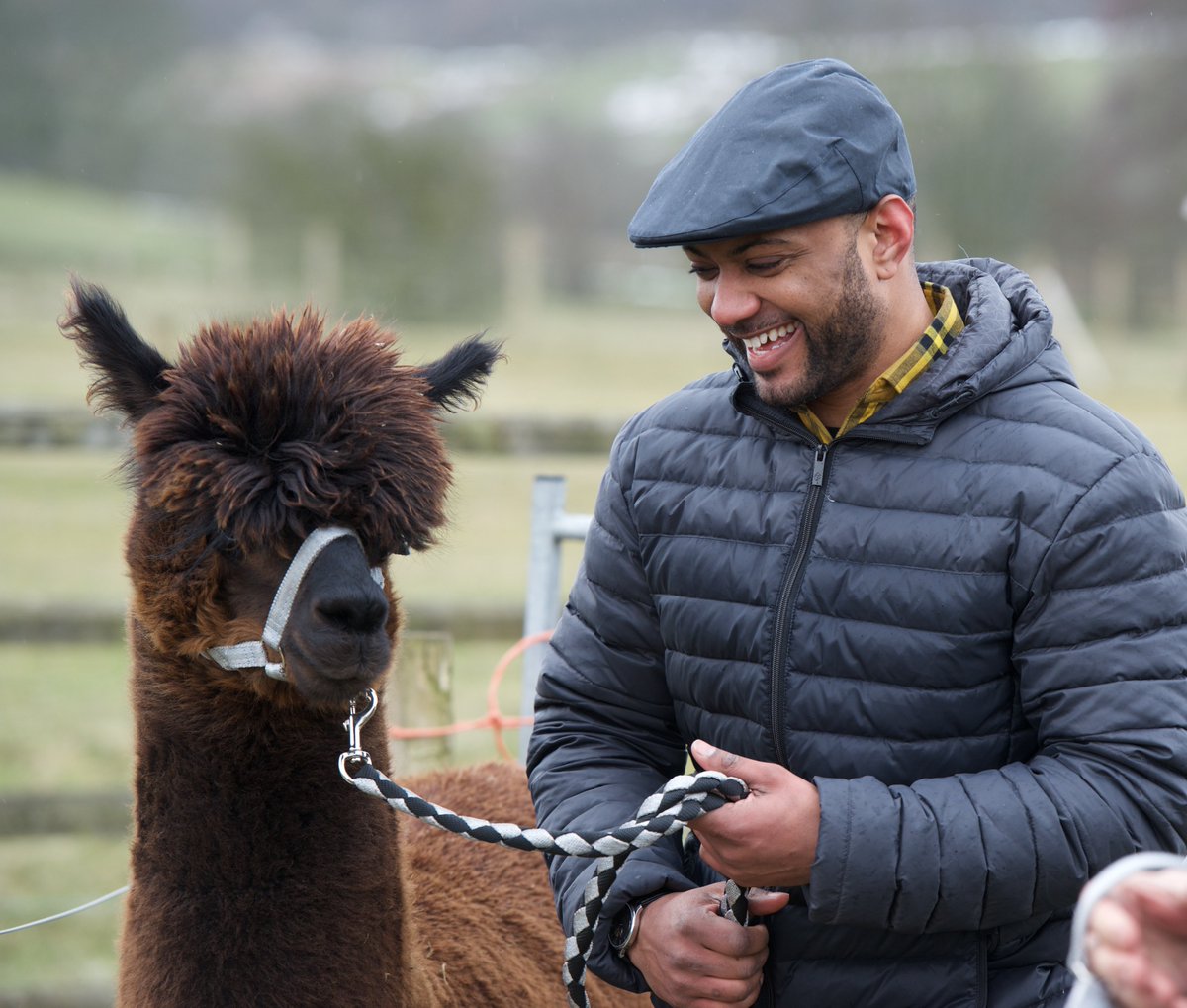 Don't forget, A Yorkshire Farm is on C5 tonight at 7pm! You can expect to see a throwback to the very first series of Springtime on the Farm, when JB met a photographer turned alpaca farmer to help get his animals ready for a very important show🦙🏆