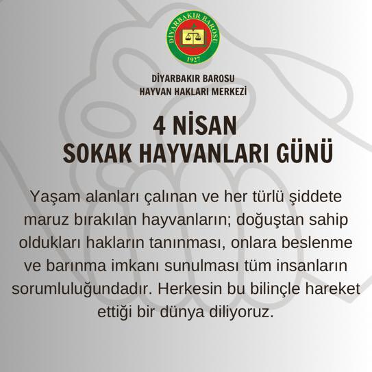 dbhayvanhaklari's tweet photo. #4NisanSokakHayvanlarıGünü https://t.co/8CazAPwUNF