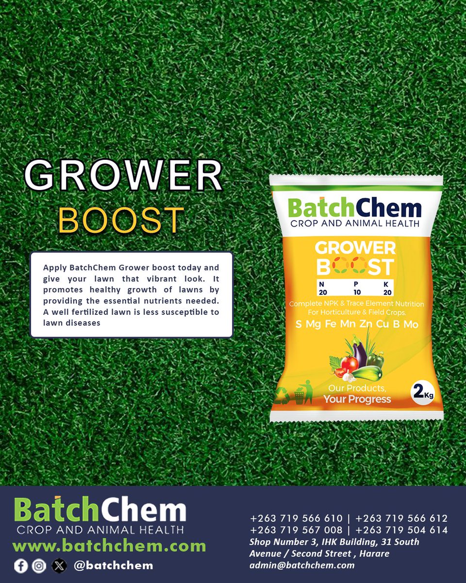 Wondering How To Get Vigorous, Green and Feathery Lawns?
BatchChem Grower Boost Fertiliser is exactly what you need with its Nitrogen and Potassium as key elements plus sufficient  Phosphorus.
Available From Us Or Any Retailer Close To You!
📞 wa.me/263719566612