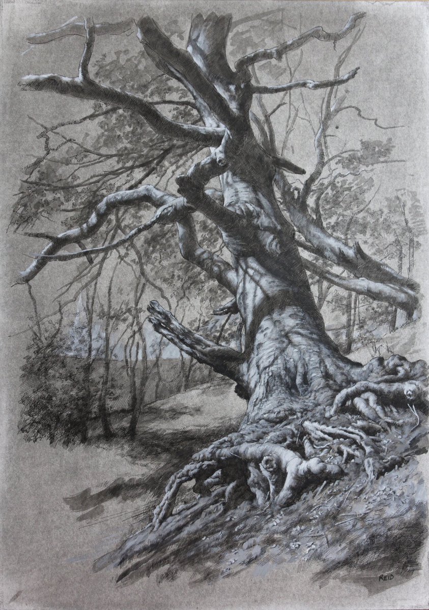 GM!! ‘Tree Study, Crichton Castle’, Acrylics, Inks & Charcoal on Board, 59x42cm. A new piece I’m exhibiting at The Scottish Gallery, Edinburgh in June.