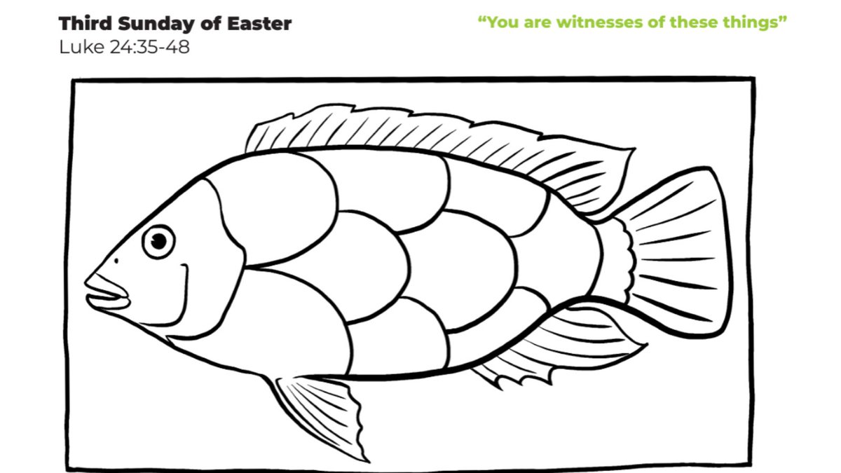 In this Sunday's children's liturgy we hear how the risen Jesus ate some fish with his friends and asked them to be his witnesses. We think about the people who have shared the story of Jesus with us and how we can share the story. Find it here: cafod.org.uk/childrenslitur…