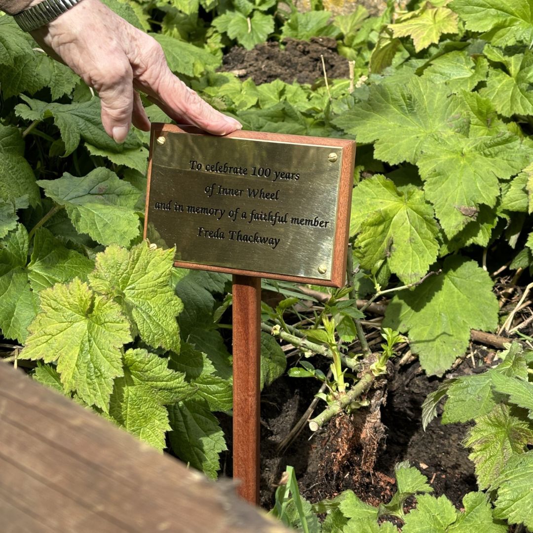 📷 Members and supporters of Inner Wheel Frome gathered today at the bandstand in Victoria Park to plant two rose bushes, celebrating 100 years of Inner Wheel and the life of faithful member Freda Thackway. More information about Inner Wheel Club here: innerwheel.co.uk