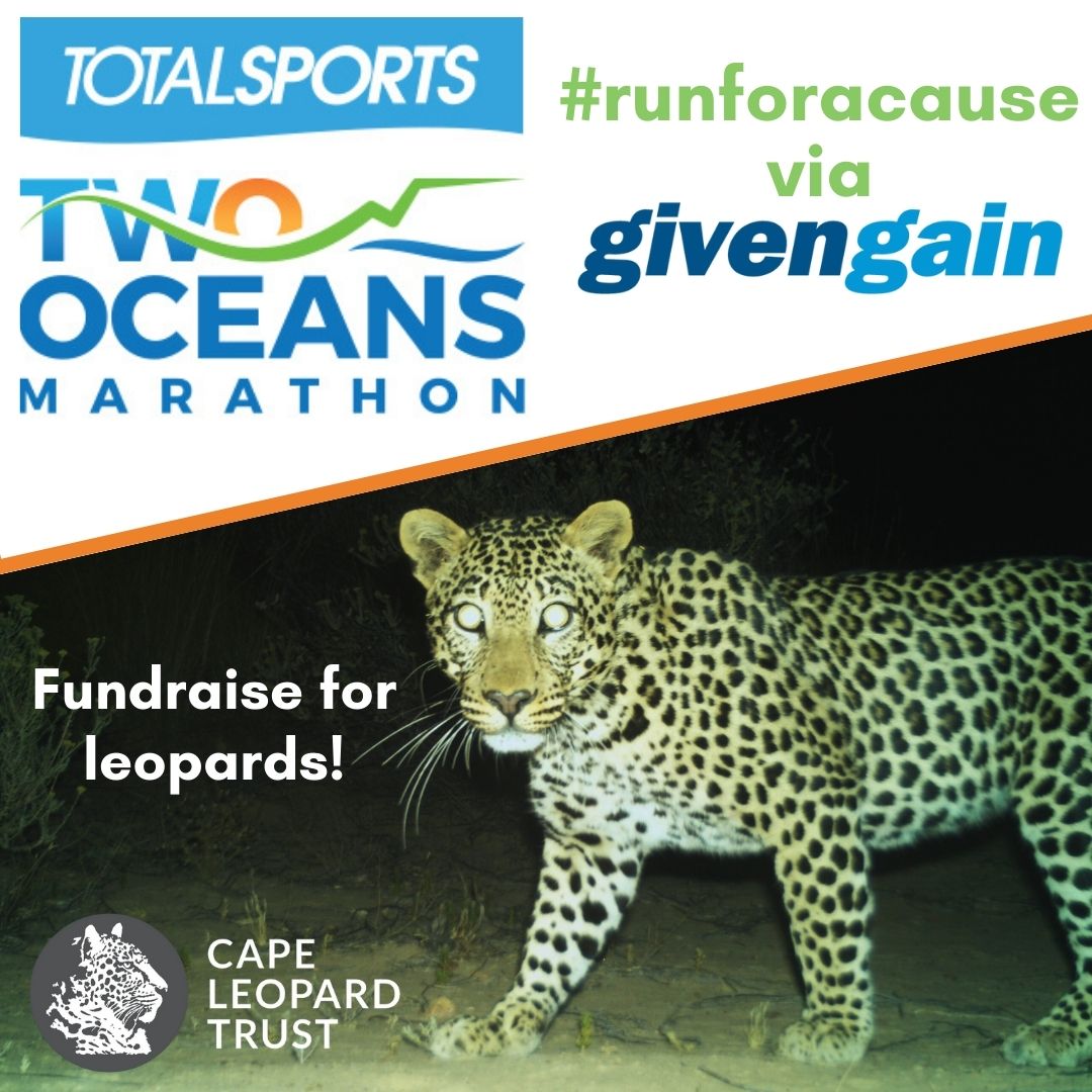 1/4🏃‍♀️Attention runners!🏃‍♂️ The @TotalsportsSA @2OceansMarathon is just around the corner, and if you are participating in the ultra or half marathon events on 13&14 April you can #runforacause and become a Fundraising Champion for #leopards!
🧵⬇️ 
#TTOM2024 #ConquerTheCurrent