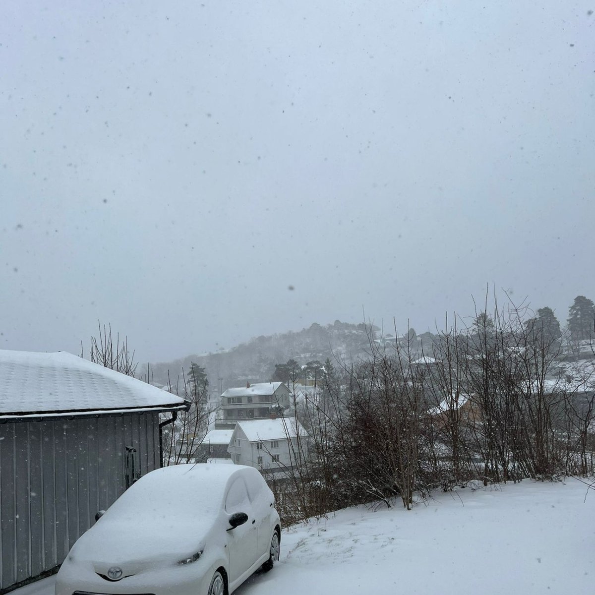 Global warming in #Noorwegen; nieuw pak sneeuw.