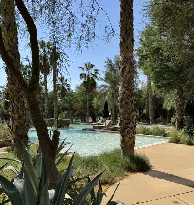 GM from Dubai https://t.co/pWsWZXcjL6