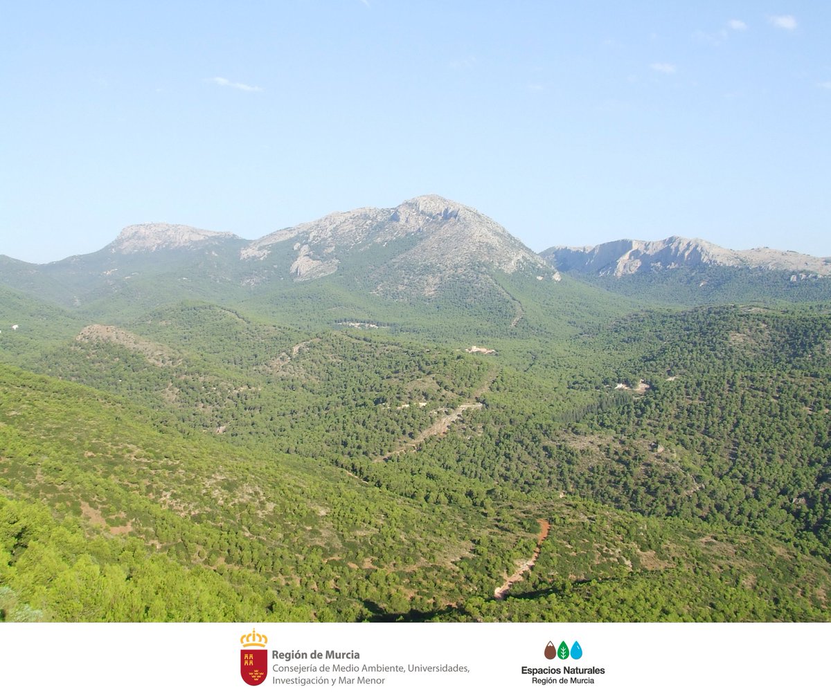 El Centro Excursionista de Cartagena organizará, para los días 7 y 21 de abril, varias rutas senderistas de #ElCaminoDeCaravaca que discurren por #SierraEspuñaPR 🌄 💫 'El Camino de Caravaca' también pasa por los @EspNaturalesMur