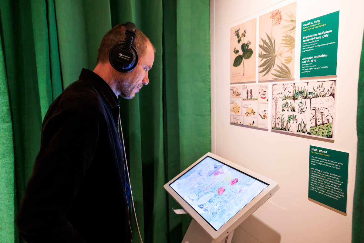 The exhibition 'What is A Weed' is a compelling example of how organisations like the @RHSWisley can achieve remarkable results by allowing unconventional voices to shape exhibitions. A project for designed with @davidsudlow and built by @standard8design #exhibition #cocuration