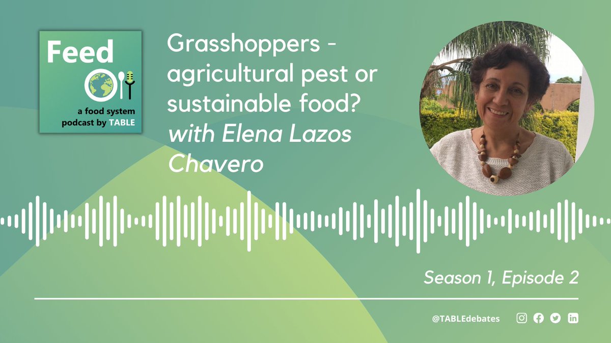 What do grasshoppers and crayfish have in common? 🦗🦞 They're both invasive in certain contexts & it's been proposed that we could eat them to re-establish ecological balance. But will it work? The latest episodes from Feed tackle this question: tabledebates.org/podcast