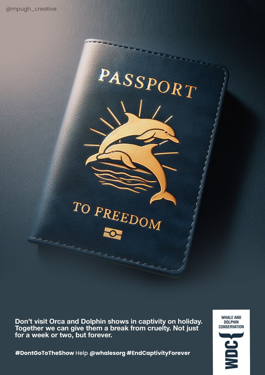 Michelle Pugh tweet media