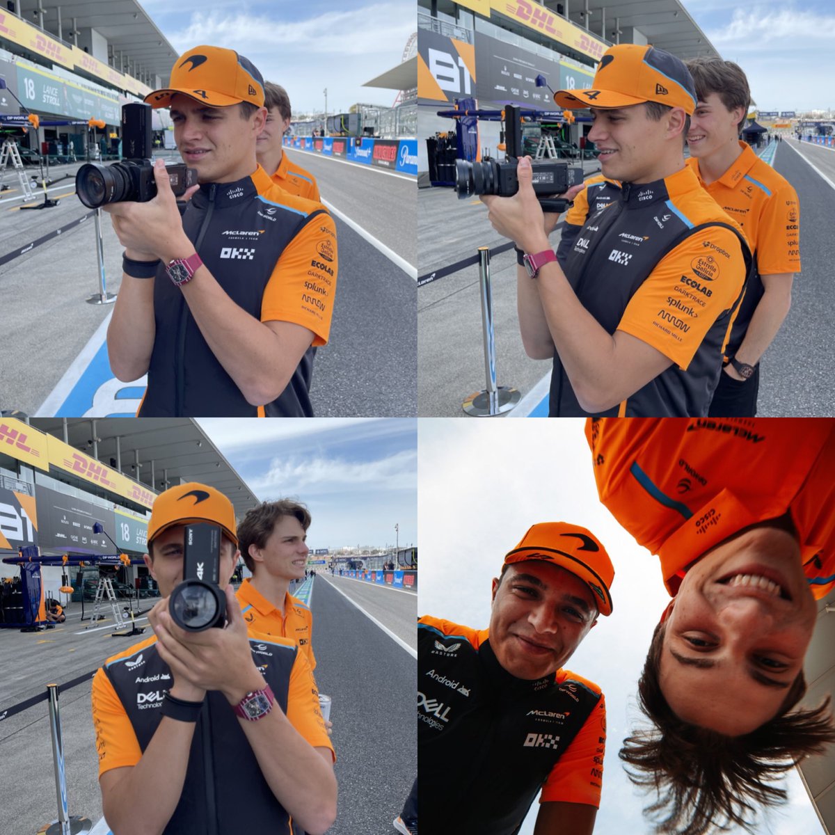 they’re just silly little guys 🧡