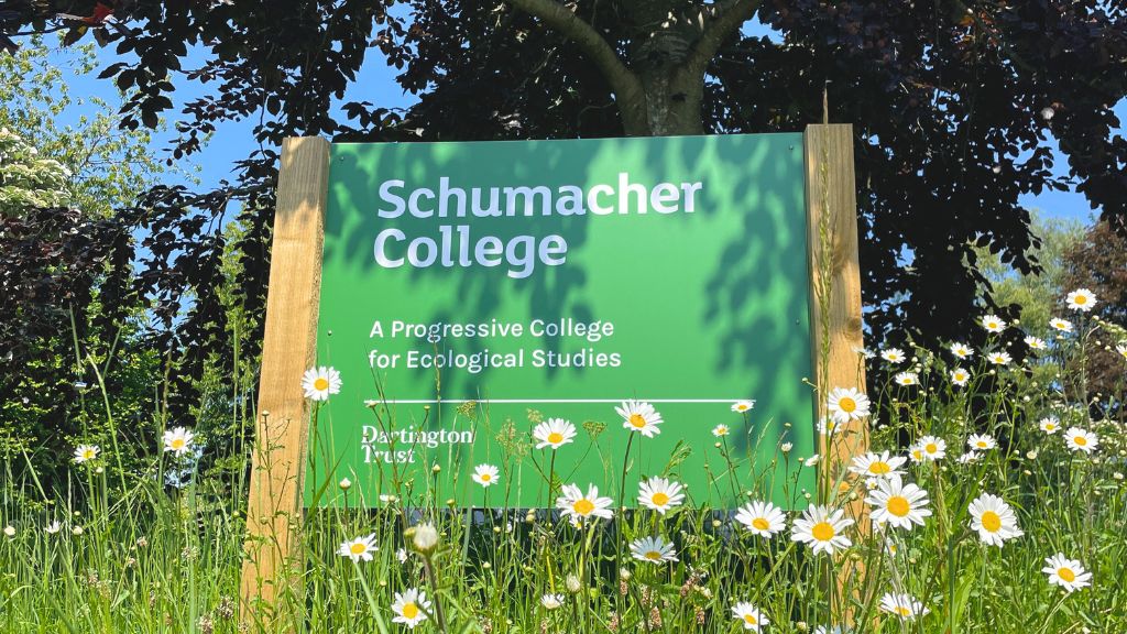 Spring is just about here and we are coming out of hibernation! Take a look at all our short courses and events via this link: dartington.org/whats-on/?list…