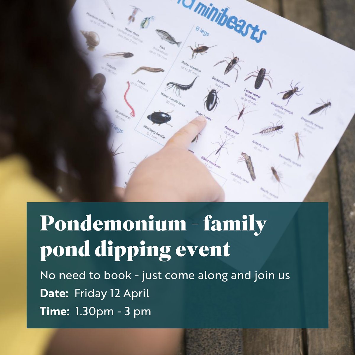 We're looking forward to our 'Pondemonium' event this Friday (12 April) when we'll be meeting some of the incredible creatures that dwell in our ponds (with the help of a net). Find out more: events.rspb.org.uk/events/69421