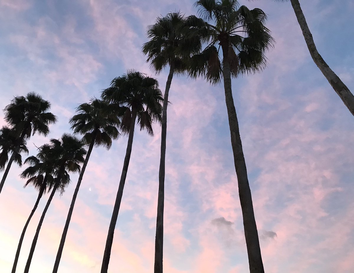 HOPArx's tweet photo. It’s a beautiful morning in Tampa - who’s ready for Day 2 of #HOPA2024? https://t.co/qtbXWjo6FY