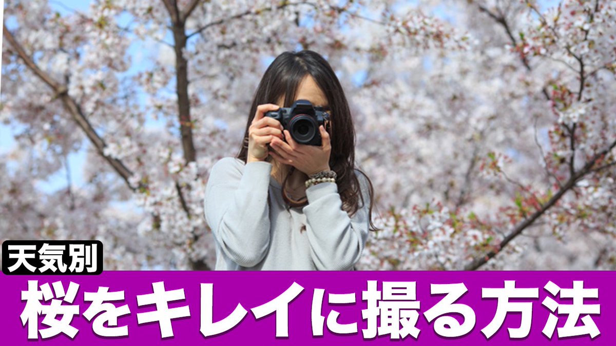 青原桃香 on X: 青原桃香 on X: