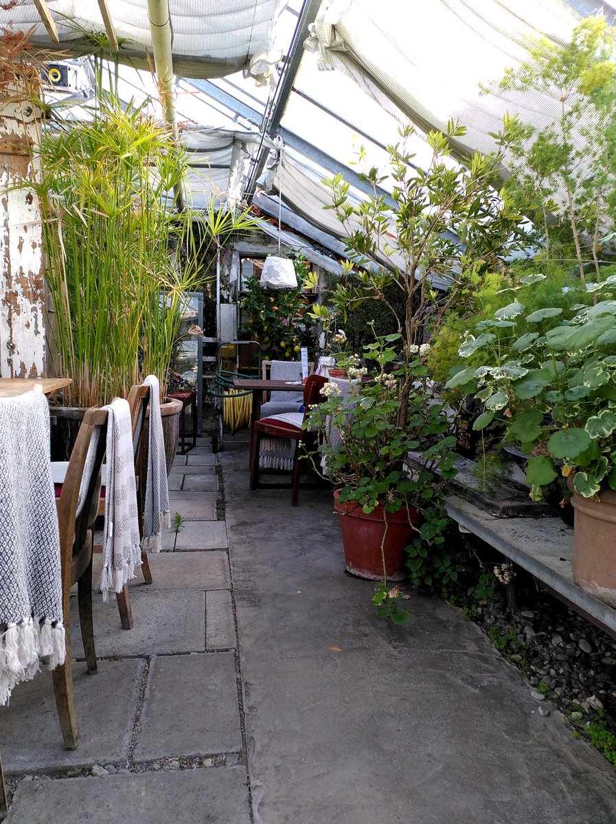 Caféporn. @blumenweimar #cafekultur #gärtnerei #gewächshaus #lieblingsorte #gardenlovers #greenhouse #plantlovers #coffeebreak