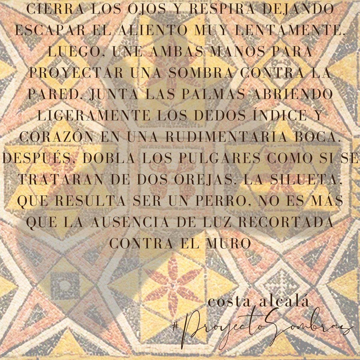 ¡Qué ganas tenemos <a href="/geocostav/">GeoCosta ✨</a> y yo de, por fin, hablaros de todo esto! #CostaAlcalá #ProyectoSombras.

Es que hemos disfrutado tantísimo de su escritura. Nos gustan tanto los personajes. Y la trama. Y la ambientación. Y... jo. Ojalá os guste.