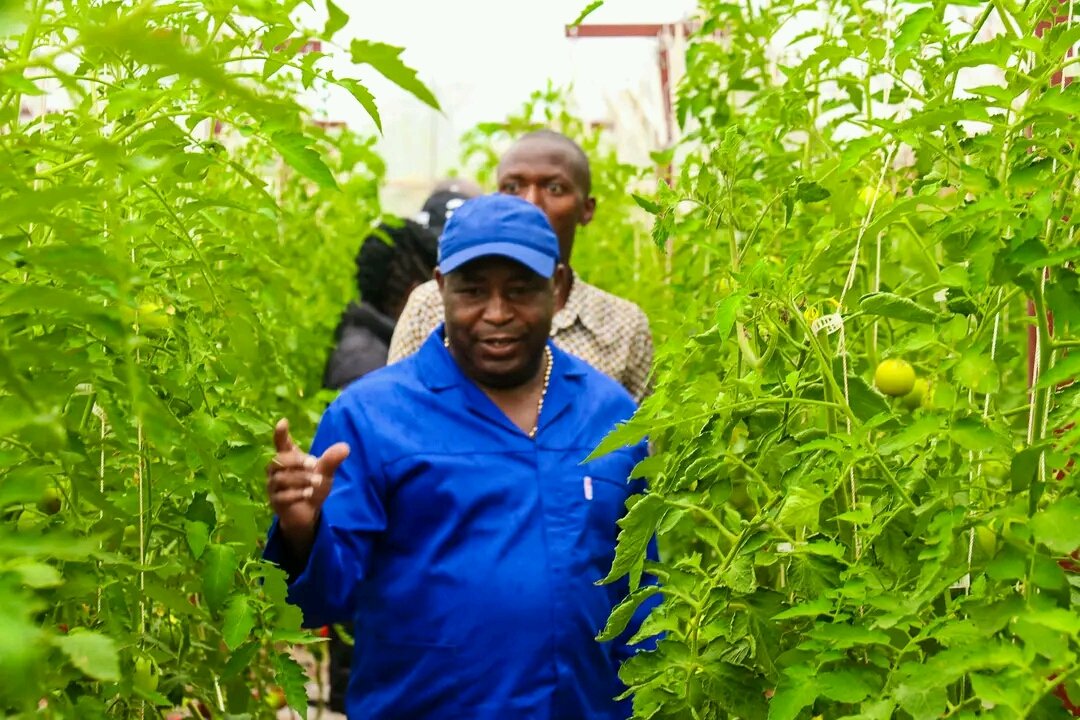 J_Terimbere_Bdi's tweet photo. #Gitega. Gushika ku mbonakazoza 2040/2060 birashoka. Mur'aka gatondo k'igenekerezo rya 4/4/2024, Nyenicubahiro Umukuru w'Igihugu #Burundi @GeneralNeva  ari kumwe n'umutambukanyi wiwe @Burundi1stLady bagendeye ubwugamo bw'igiterwa c'itomati kiri mu kigo ca kaminuza #Zege @Gitega https://t.co/nmAogeJEWV