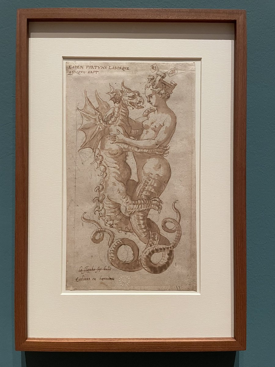 Danielle Czerkaszyn tweet media