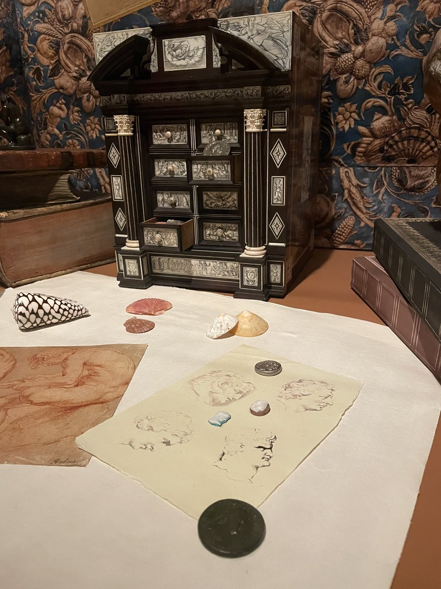 Danielle Czerkaszyn tweet media