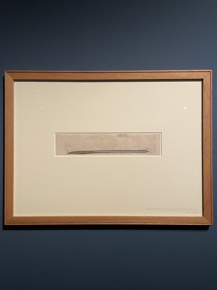 Danielle Czerkaszyn tweet media