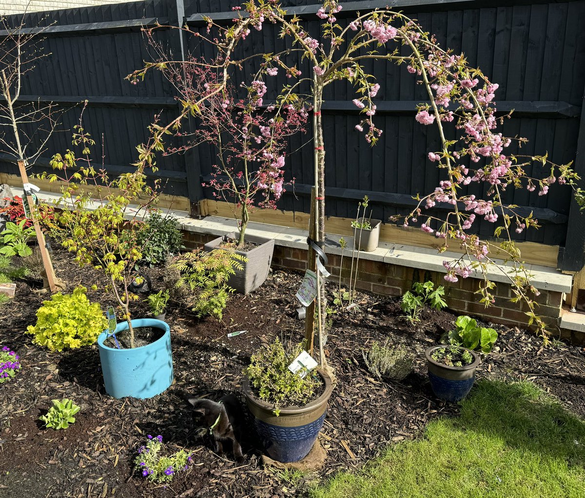 Doug Stewart tweet media