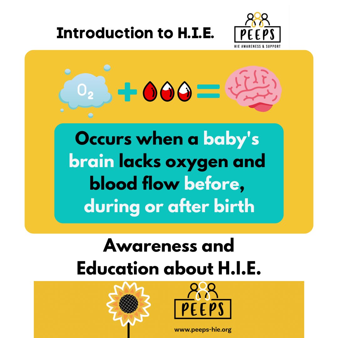 Starting this H.I.E. Awareness Day, we’re focusing on understanding more about H.I.E. Overwhelmingly, families tell us they only hear about H.I.E. when it happens to them. We want to change that, so it’s talked about, just like other conditions. Stay tuned to learn more about…