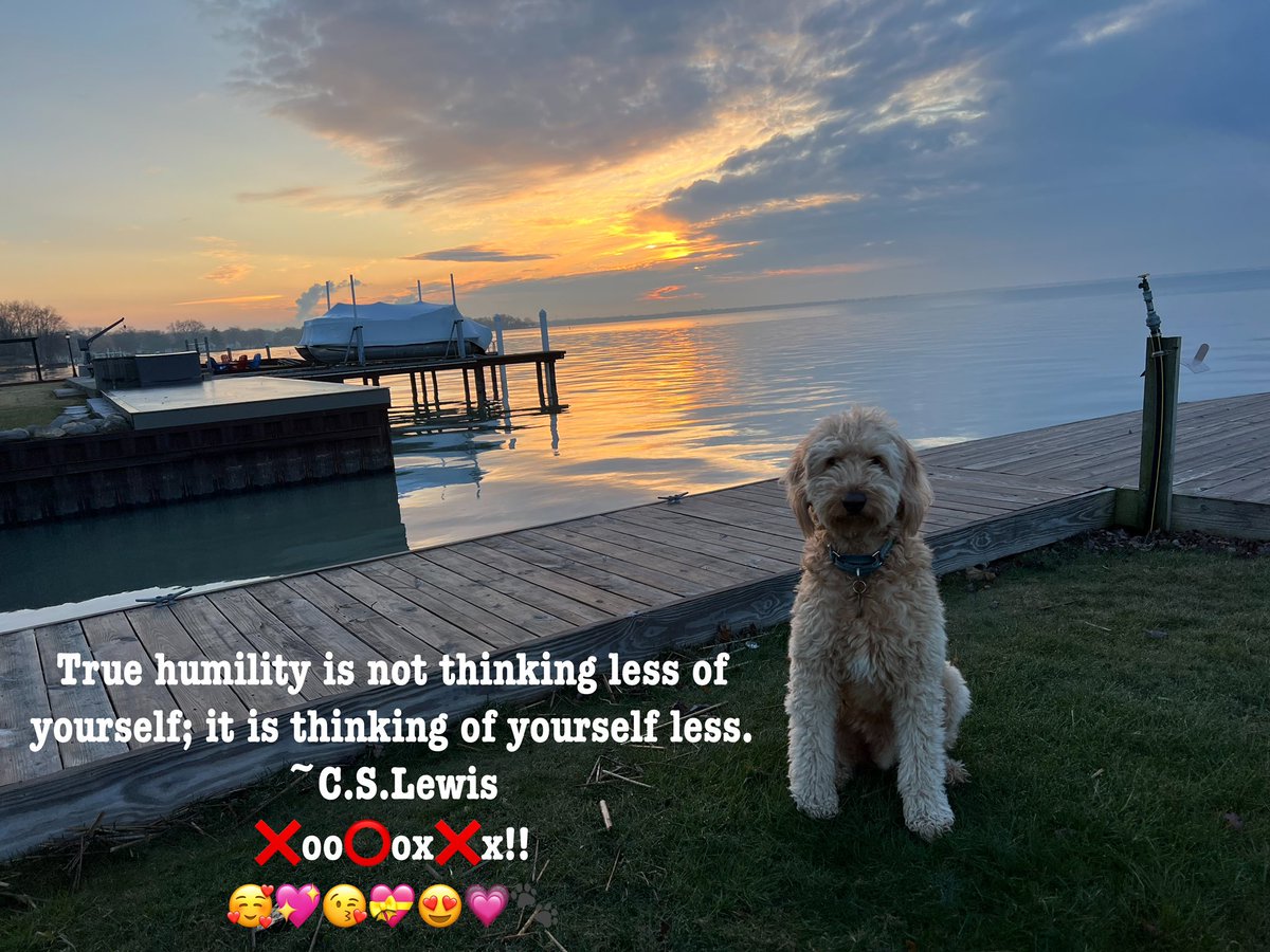 True humility is not thinking less of yourself; it is thinking of yourself less. ~C.S.Lewis ❌oo⭕️ox❌x!! 🥰💖😘💝😍💗🐾