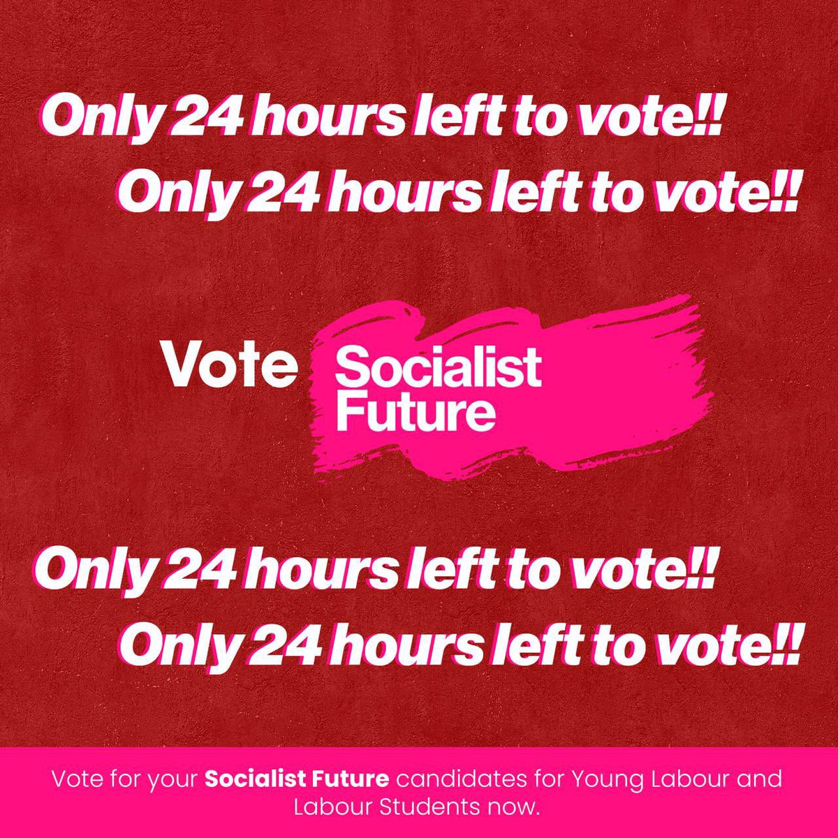 Make sure to cast your vote in the Young Labour and Labour Students elections! Much like the popular social media platform, the clock is tiktoking…