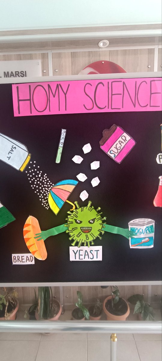 GurleyikJ's tweet photo. Etwinning projemiz Homy Science için panomuza büyük emek harcayan öğretmen ve öğrencilerimize teşekkür ederiz.  @mutluaydn81 @TanerSen_Dlmn @DlmMem @mugla_mem https://t.co/gBtxrhoI6o