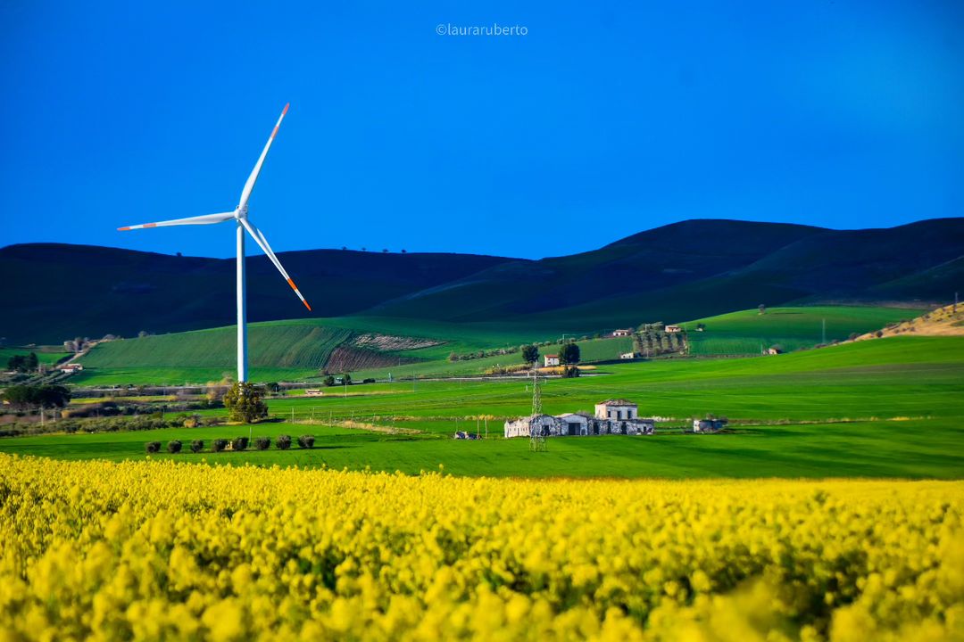 Un giorno di primavera qualunque, passeggiando tra le colline pugliesi della provincia di Foggia 🌼 Qui siamo nei dintorni di Candela. #WeAreinPuglia 📸 @rublau