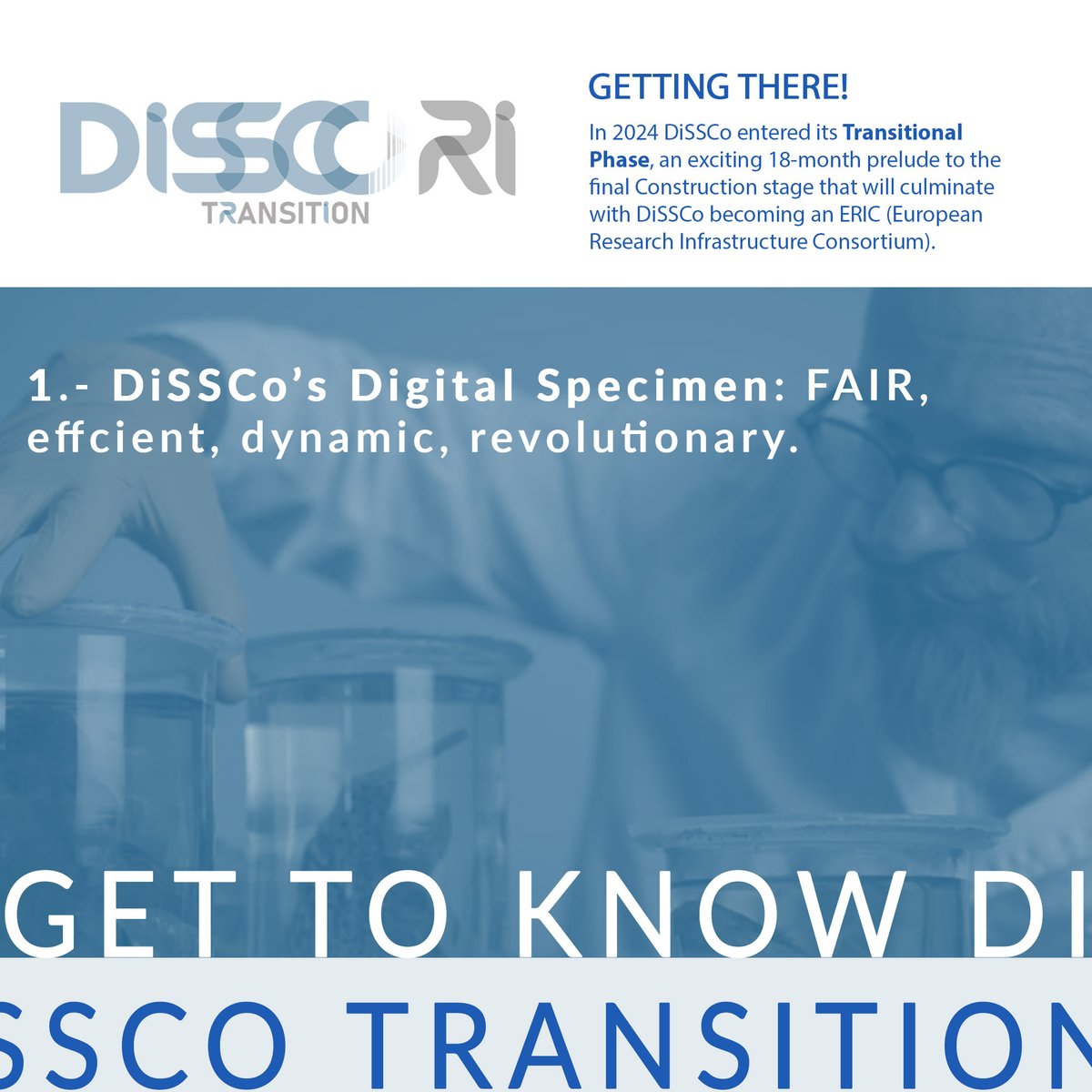 The transitional phase of @DiSSCoEU is short but quite hectic, so we've created a bunch of posts highlighting our core concepts, DiSSCo services, standards, legal status, etc. Take a look at n.1: #digitalspecimen the cornerstone of DiSSCo @REA_research 👉 dissco.eu/digital-specim…