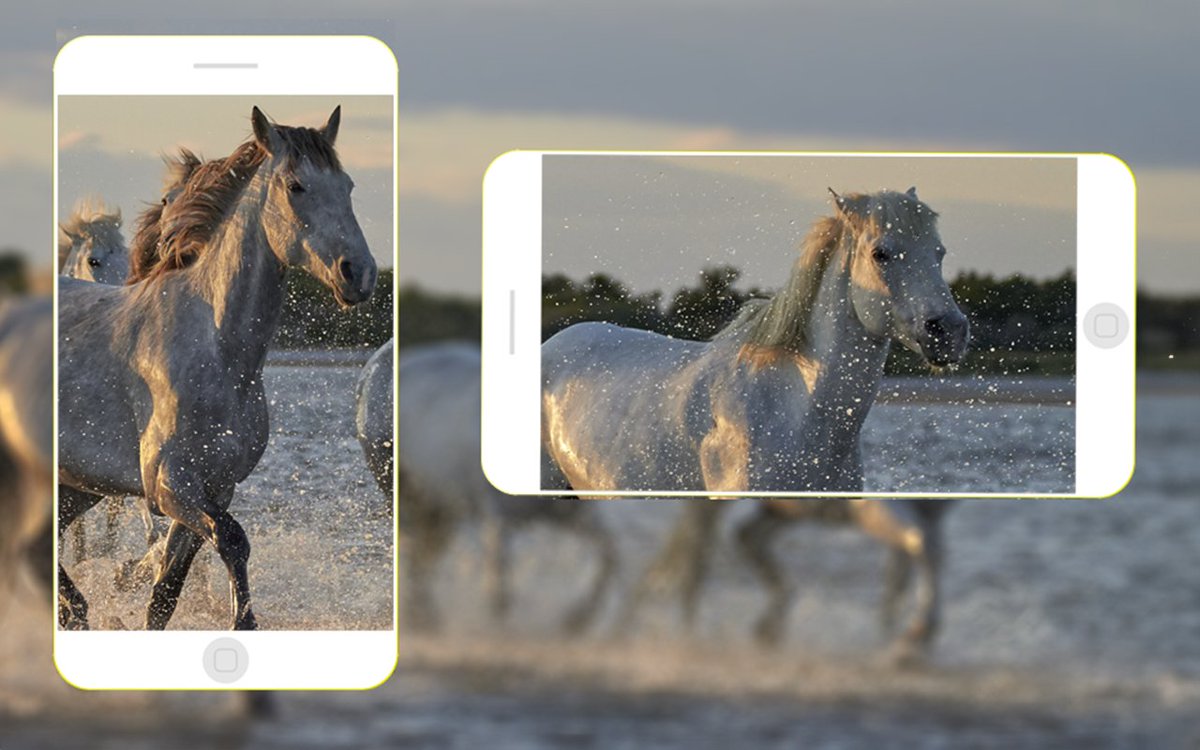 NewMediaBrains's tweet photo. Wat houdt je tegen? Begin vandaag nog met leren hoe je knappe video’s maakt met je smartphone!  🎥
https://t.co/PtIe5srm3R

#videotraining #smartphonevideo #vlogtraining https://t.co/LLa1sLGJLd