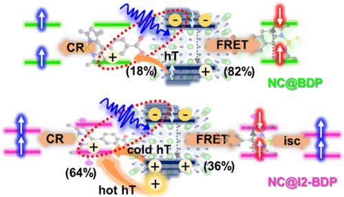 Engineering Metal Halide Perovskite Nanocrystals with BODIPY Dyes for Photosensitization and Photocatalytic Applications

@J_A_C_S #Chemistry #Chemed #Science #TechnologyNews #news #technology #AcademicTwitter #AcademicChatter

pubs.acs.org/doi/10.1021/ja…