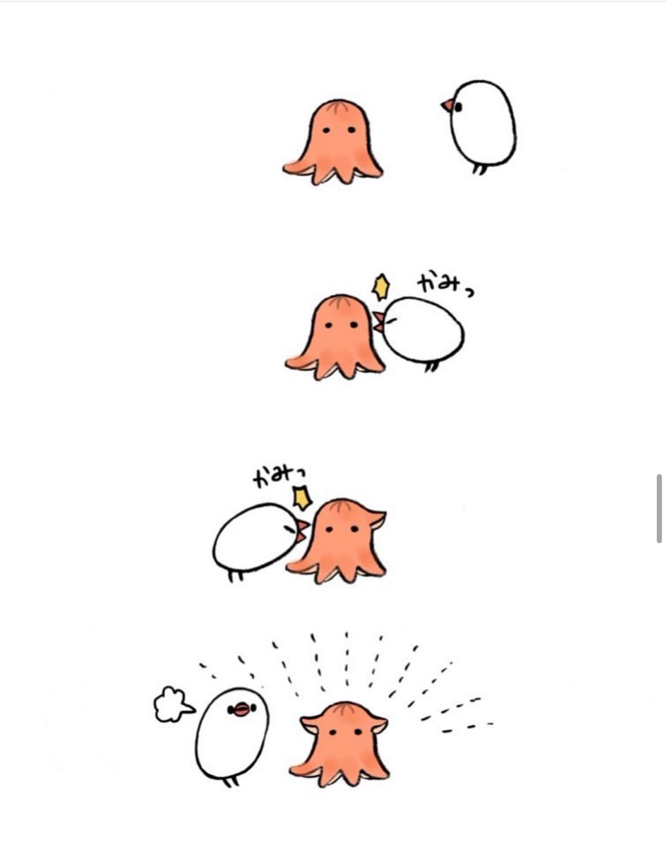 明日も20〜21時にイラスト投稿します🐦
『タコウィンナーをメンダコにするぶんちょ』(再掲) 