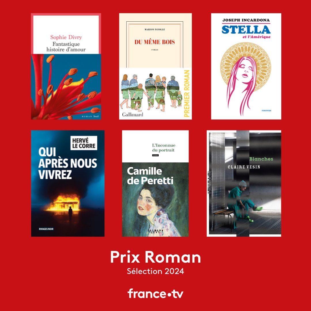 Prix Essai et Prix Roman France Télévisions Très heureuse de dévoiler la sélection 2024➡️ francetvpro.fr/contenu-de-pre… Nos #PrixPublic seront décernés par 22 lecteurs choisis suite à un appel à candidatures lancé sur les antennes de @Francetele et @francetvetvous 🏆🏆 rdv le 29 mai