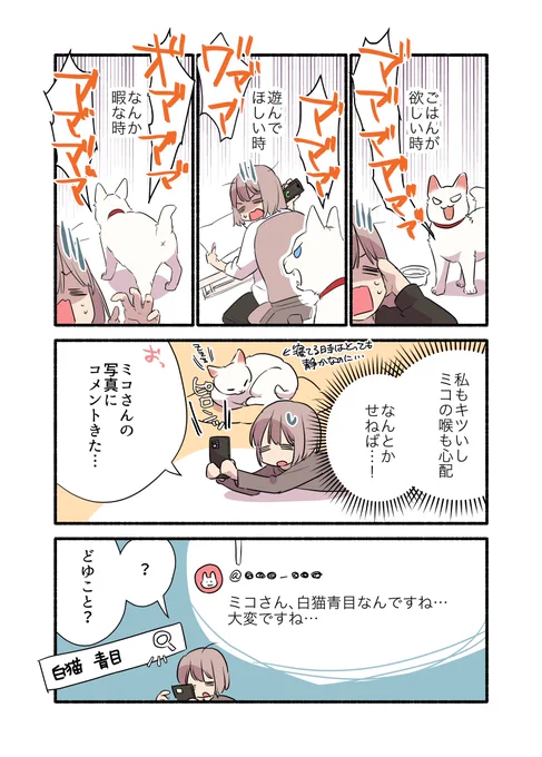 クソデカボイスのダミ声猫が絶叫をやめるまで(2/2)#漫画が読めるハッシュタグ#愛されたがりの白猫ミコさん 