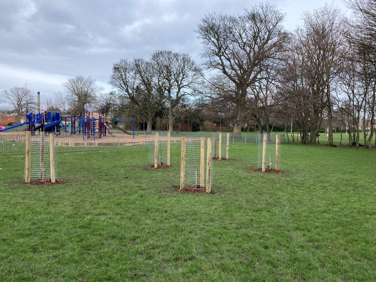 Happy #TartanWeek! Why not celebrate your Scottish connections by adopting or planting a tree in Edinburgh, keeping you connected to Scotland wherever you are! tree-time.com

#NYCTartanWeek #TartanDay #TartanParade #Tartan #ScottishTrees #PlantATree @Edinburgh_CC