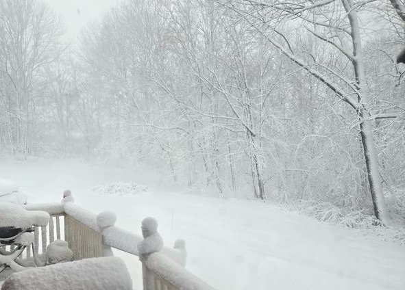 Deven Clements_Author tweet media