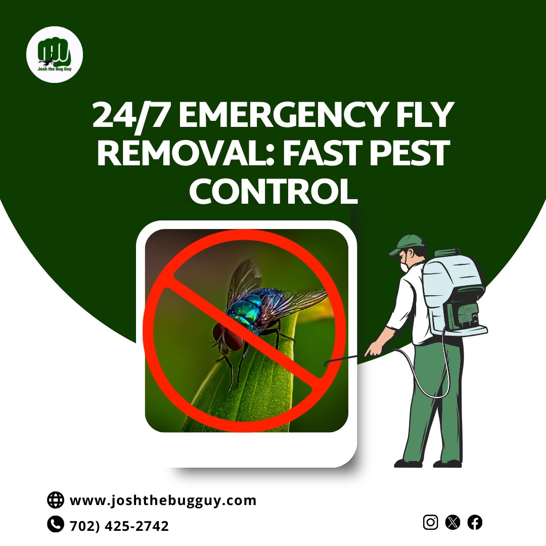 Joshthebugguy's tweet image. Pesky flies ruining your peace? 🦟 Don&apos;t fret! Our 24/7 emergency fly removal service ensures fast and efficient pest control whenever you need it. Say goodbye to those unwanted guests! #EmergencyPestControl #FlyRemoval