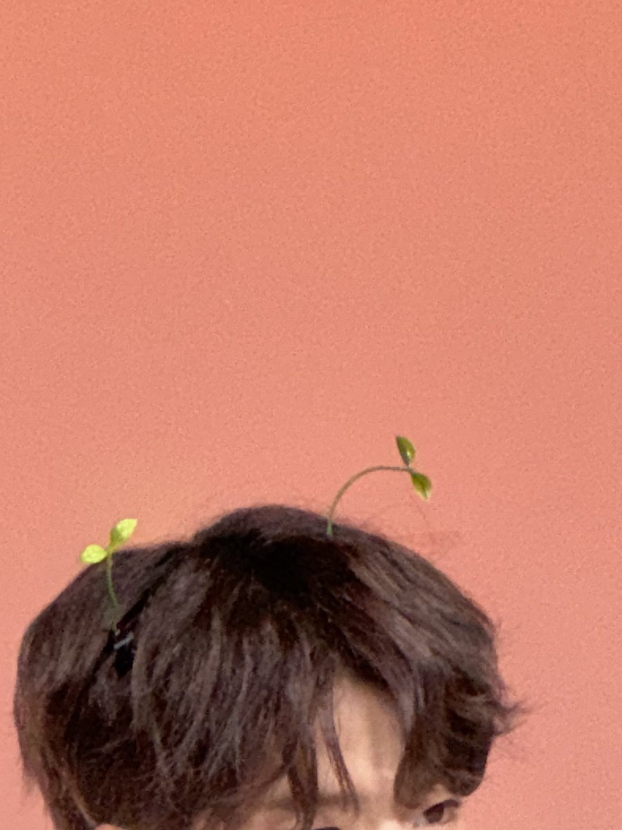 🩷🌱🩷

#RIIZE #라이즈  
#SOHEE #소희 
#RISEandREALIZE 
#엠카운트다운