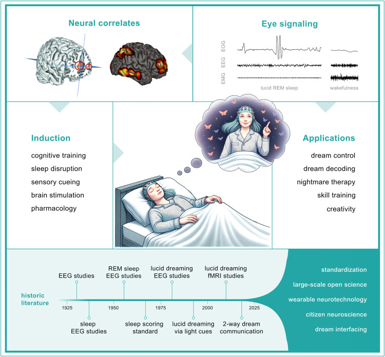 People often ask me about the #neuroscience of lucid dreaming. The truth is we don't know a lot about it, but we're beginning to. And now I can point them to this new paper. #brain @NeuroCellPress sciencedirect.com/science/articl…