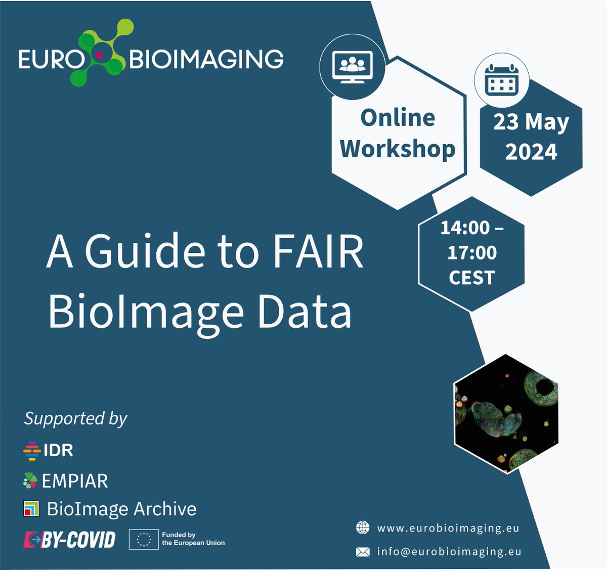 Do you perform biological imaging🔬? Want to maximise the potential of your #bioimaging data? Join the 2nd edition of our free online workshop, #EuroBioImaging's Guide to FAIR Bioimage Data. All are welcome! 🗓️Thursday, May 23, 2-5 pm CEST More info⤵️ eurobioimaging.eu/news/a-guide-t…